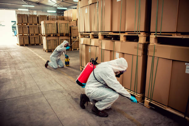 Wasp Removal Services in Slippery Rock University, PA