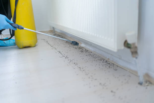 Best Best Pest Control Companies  in Slippery Rock University, PA