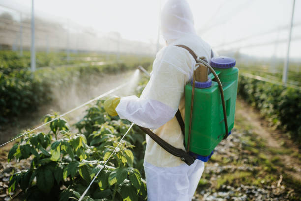 Best Affordable Pest Control Services  in Slippery Rock University, PA